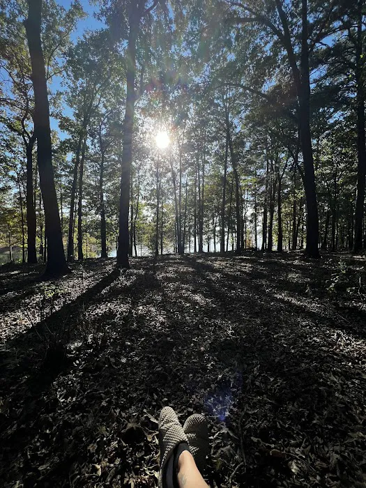 Devils Fork Recreation Area 7