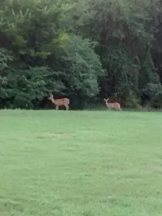 Devils Fork Recreation Area 6