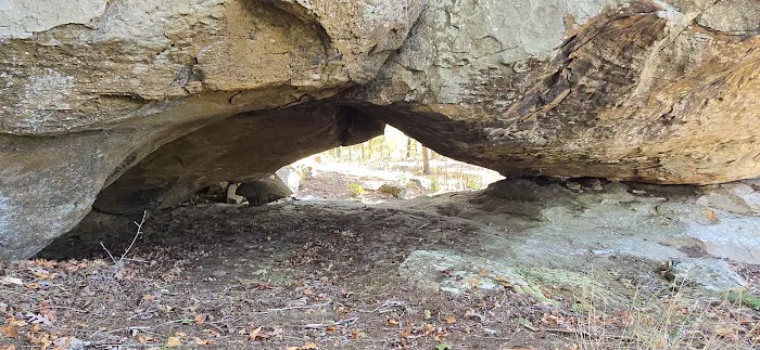 Williams Rock 3
