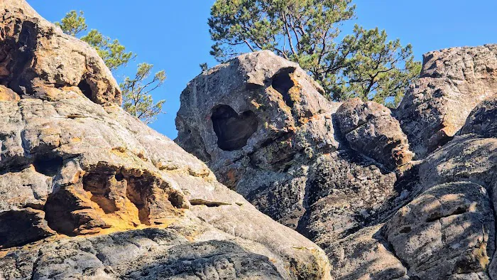 Williams Rock 8