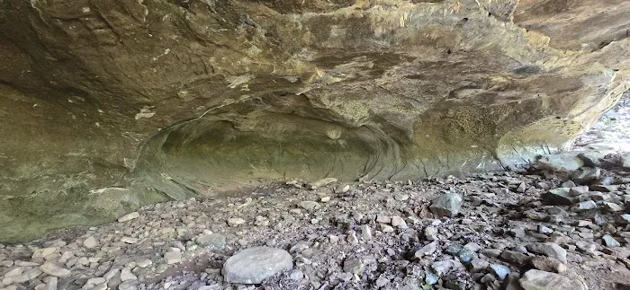 Williams Rock 9