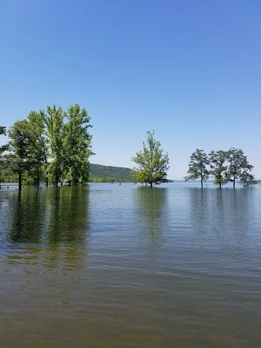 Cove Creek Recreation Area & Campground 4