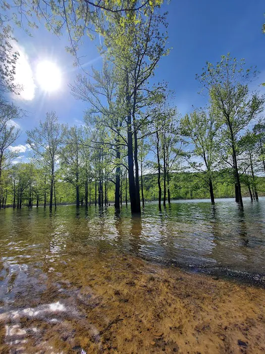 Cove Creek Recreation Area & Campground 5
