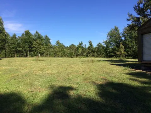 Eclipse-it-here campground 1