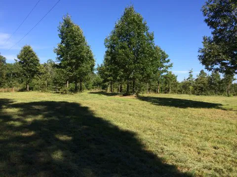 Eclipse-it-here campground 3