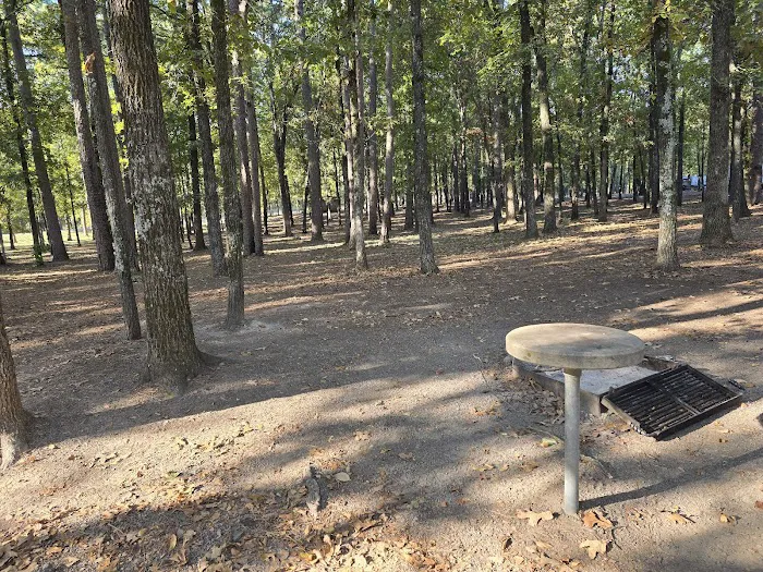 Dam Site Campground 7