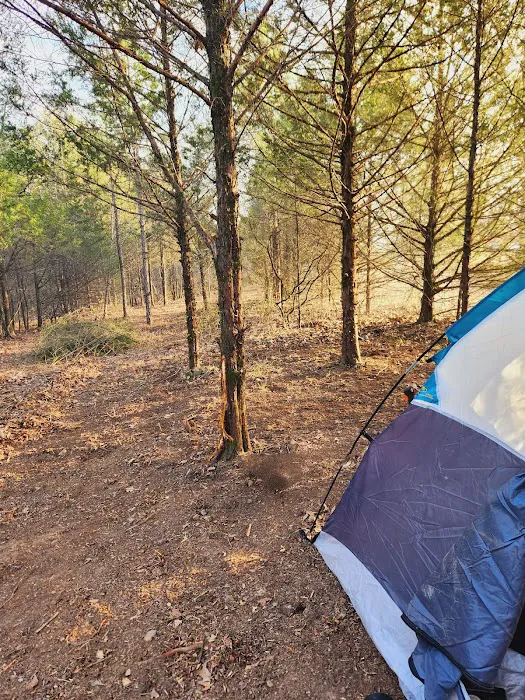 Hidden Springs Camping Retreat 3