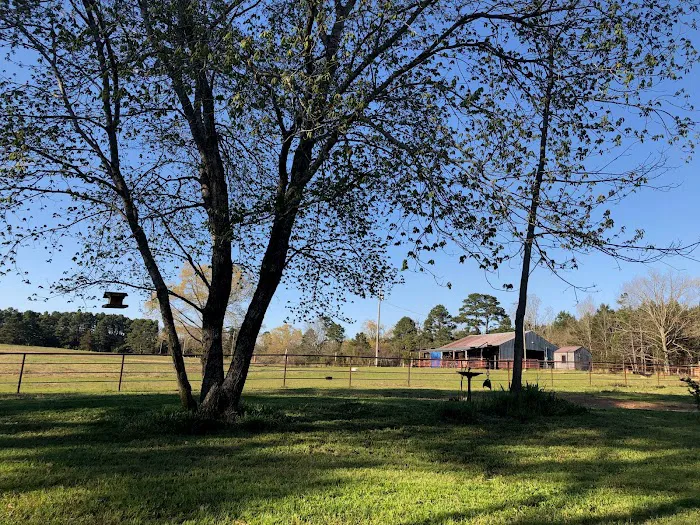 Rafter KO Ranch 2
