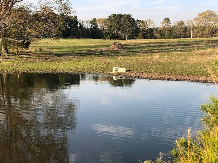 Rafter KO Ranch 9