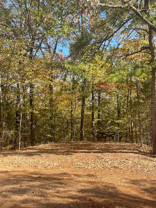 The Vista at the Lake 5