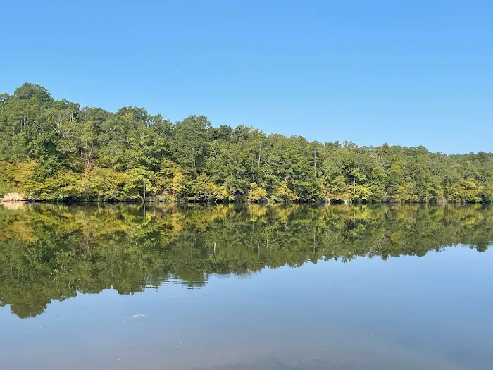 The Vista at the Lake 7