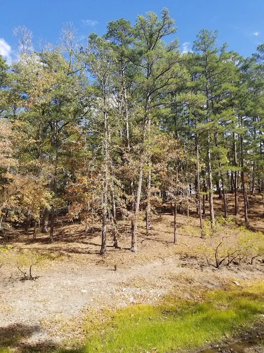 Crystal Springs Campground 9