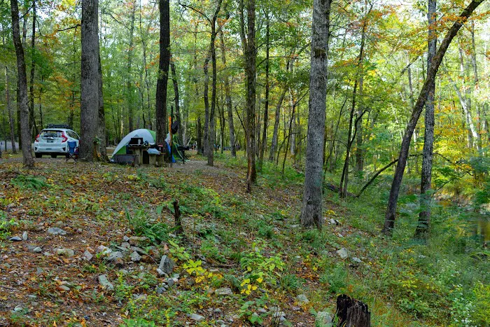 Camp Site C19 6