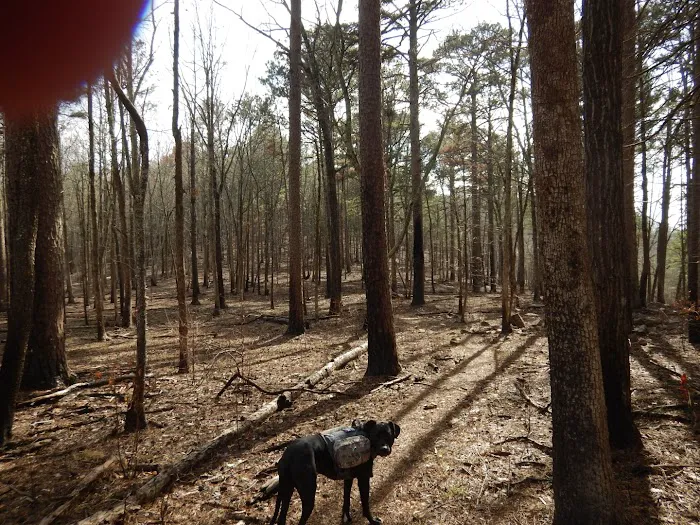 Redding Recreation Area 1