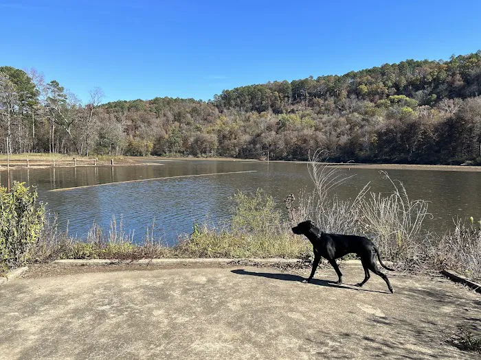 Shores Lake Recreation Area 0