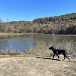 Shores Lake Recreation Area