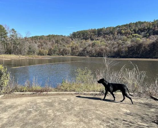 Shores Lake Recreation Area