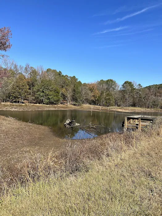 Shores Lake Recreation Area 3