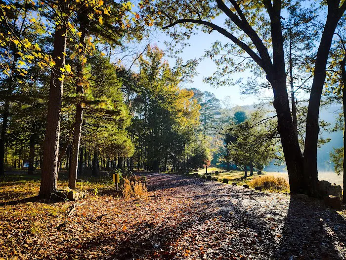 Shores Lake Recreation Area 8
