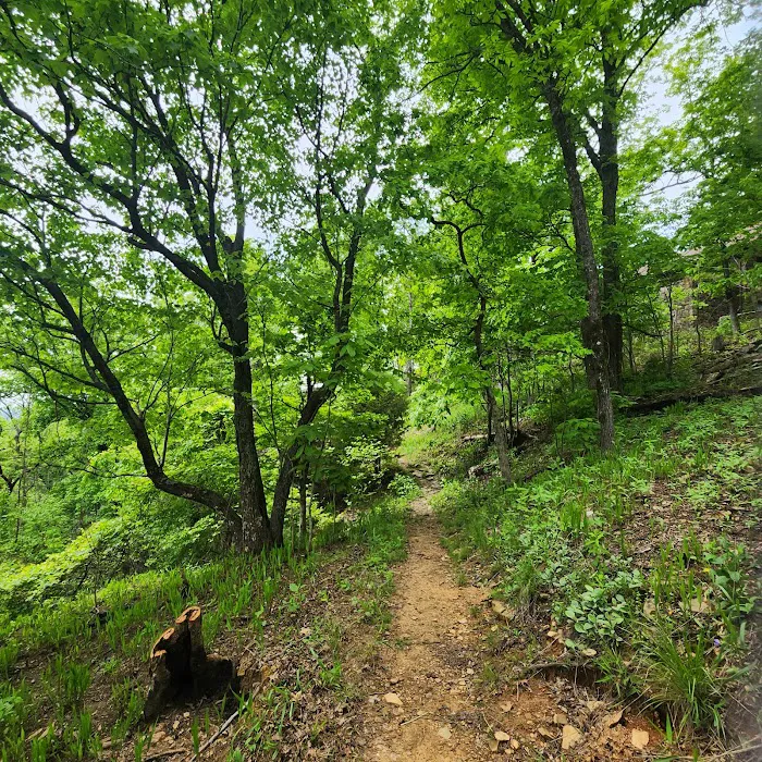 White Rock Mountain Campground 5