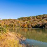 Shores Lake Campground