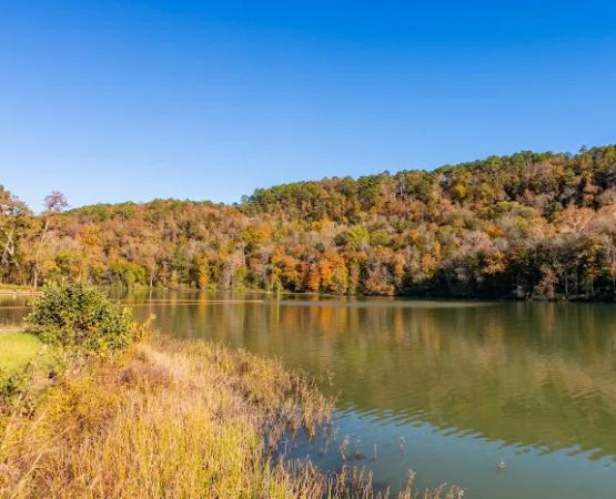 Shores Lake Campground