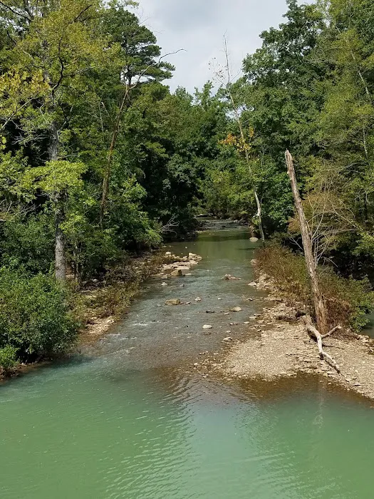 Shores Lake Campground 6