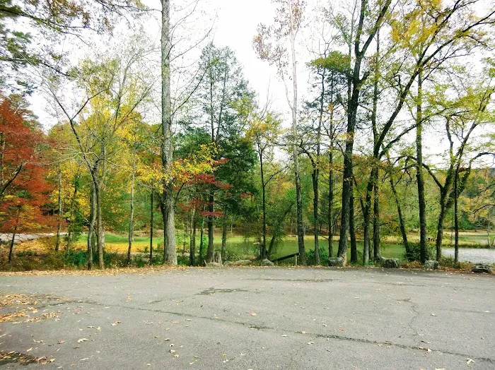 Shores Lake Campground 8