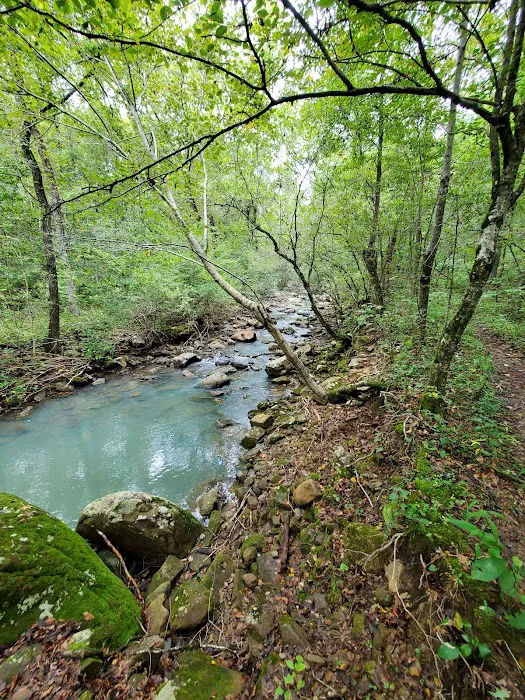 Shores Lake Campground 9