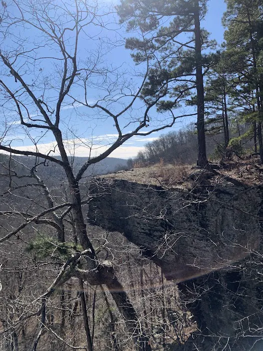 Robbins Ridge 1