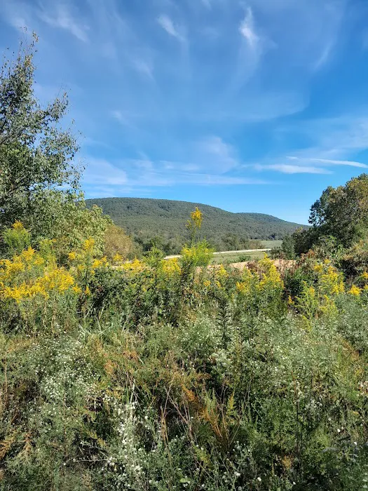 Serenity Campground 8