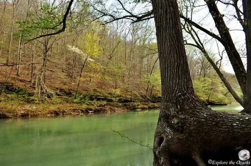 Wolf Pen Recreation Area 9