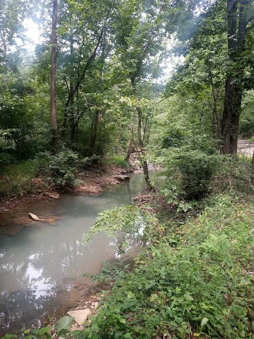 Horsehead Lake Campground 5