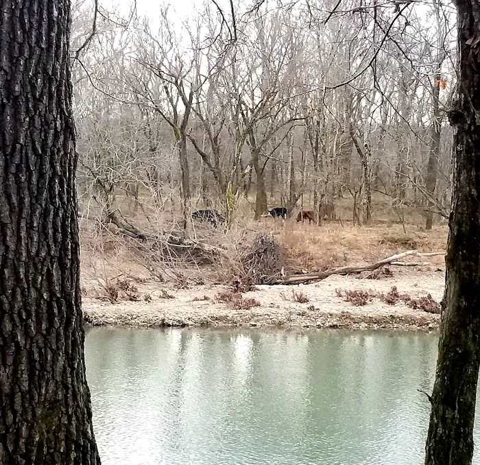 Shirley Creek Recreation Site 2