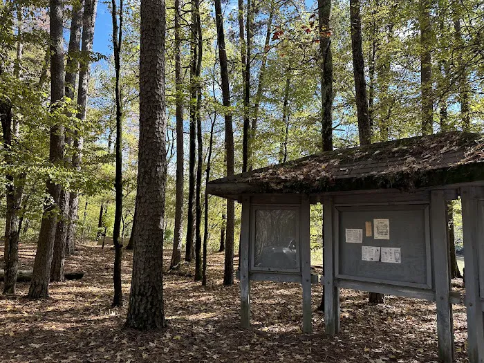 Shirley Creek Recreation Site 3