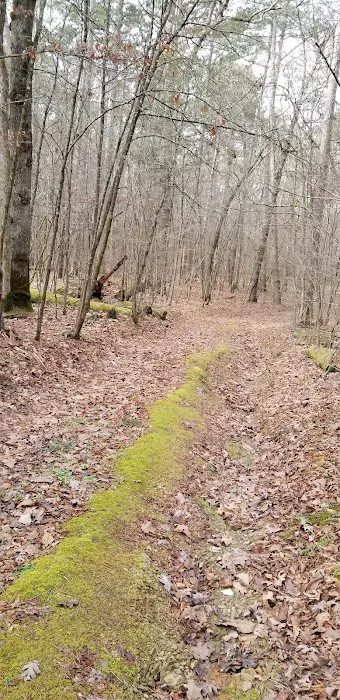 Shirley Creek Recreation Site 6