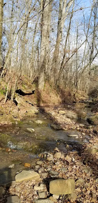 Shirley Creek Recreation Site 7