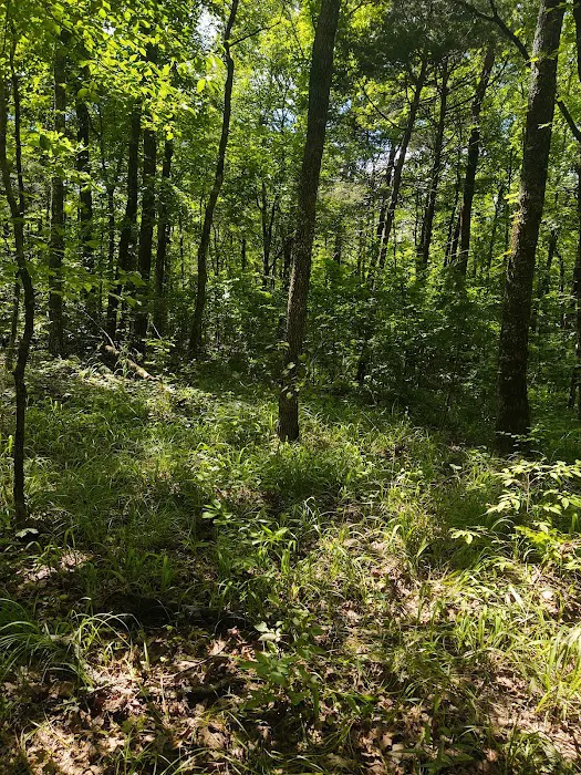 Fourche Mountain Adventures 8