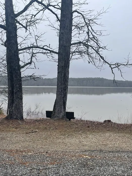 Twin creeks recreation area campground 5