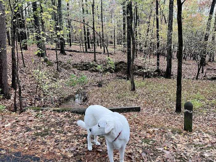 Denby Point Campground 5