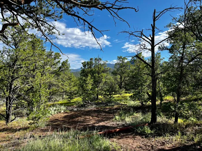 Santa Fe Tree-House Camp 5