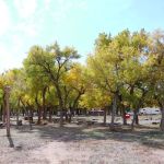 Tséyi' Diné Heritage Area - Cottonwood Campground