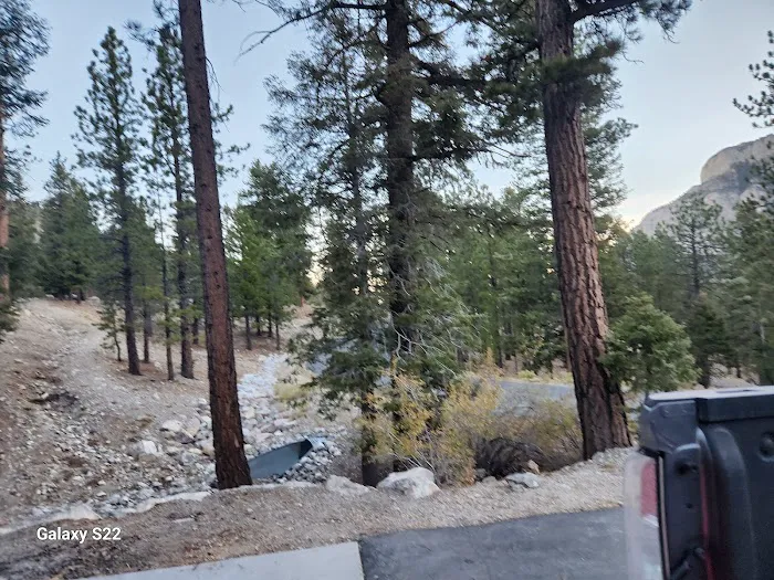 Mahogany Grove Group Campground 0