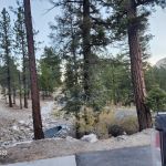 Mahogany Grove Group Campground