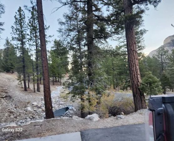 Mahogany Grove Group Campground