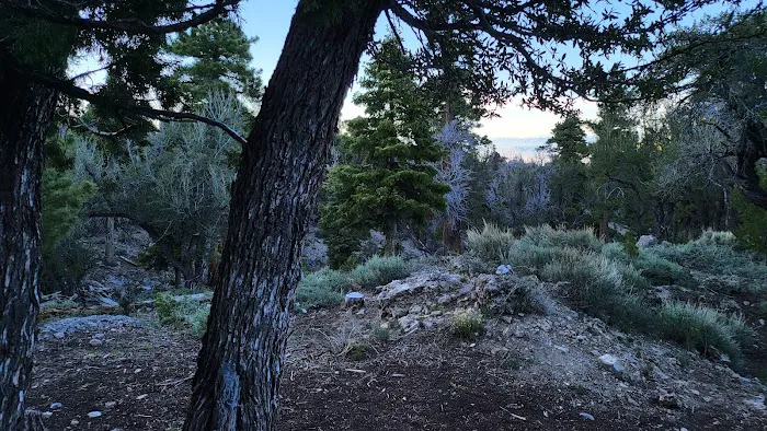 Mahogany Grove Group Campground 2