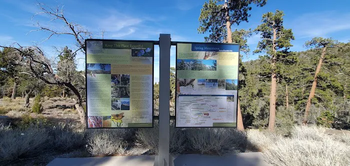 Mahogany Grove Group Campground 9