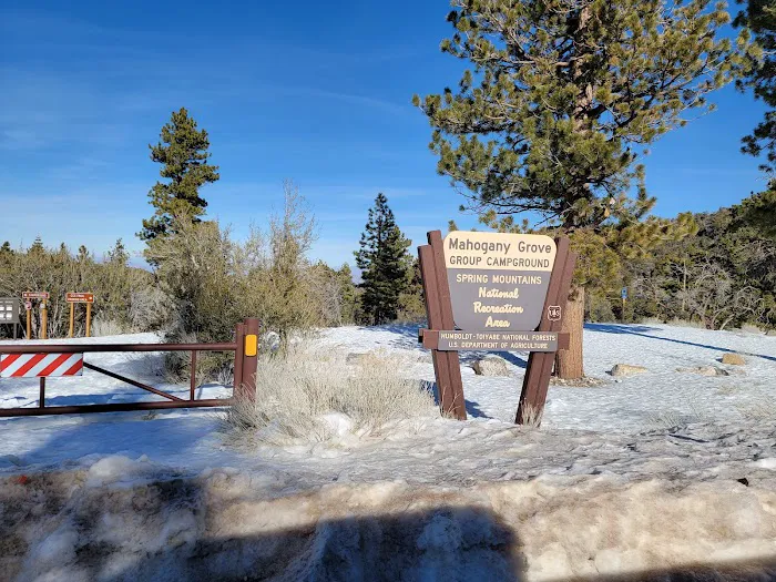Mahogany Grove Group Campground 8