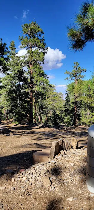 Camp J. C. Stimson 0