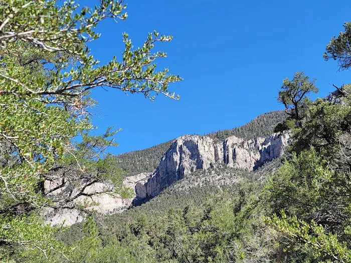 Fletcher View Campground 0